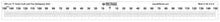 Load image into Gallery viewer, 300 mm Zero '0' Center Radiopaque Ruler - NIST Certified
